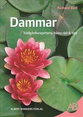 Dammar. Trädgårdsexpertens bästa råd & tips