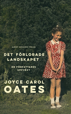 Det förlorade landskapet