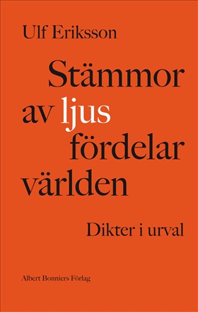 Stämmor av ljus fördelar världen