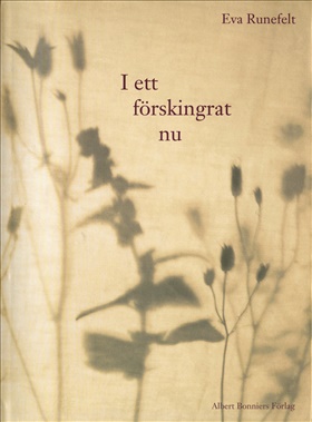 I ett förskingrat nu