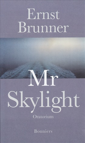 Mr Skylight