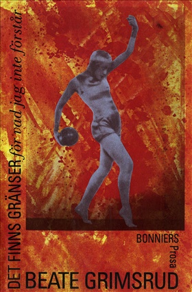 Det finns gränser för vad jag inte förstår