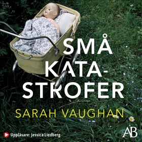 Små katastrofer