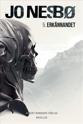 Erkännandet