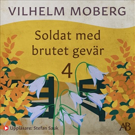 Soldat med brutet gevär