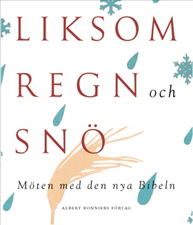 Liksom regn och snö - möten med den nya Bibeln