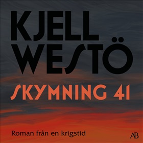 Skymning 41 