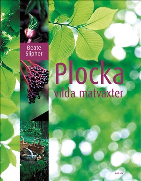 Plocka vilda matväxter