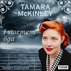 I stormens öga