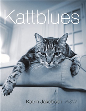 Kattblues