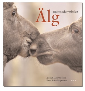 Älg