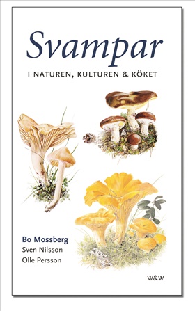Svampar