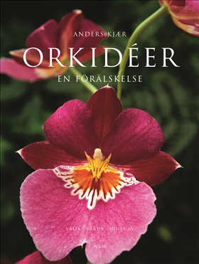 Orkidéer - en förälskelse