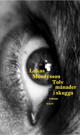 Tolv månader i skugga