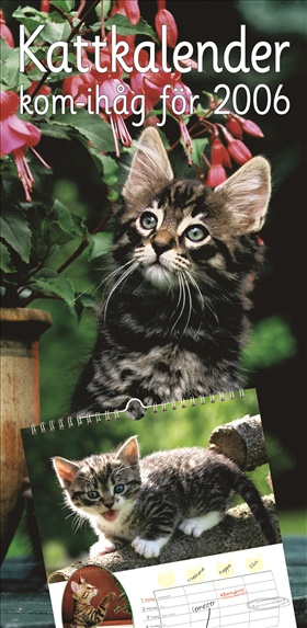Kattkalender - kom-ihåg för 2006