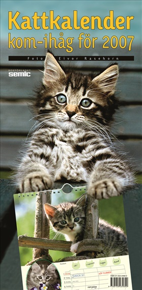Kattkalender - kom-ihåg för 2007