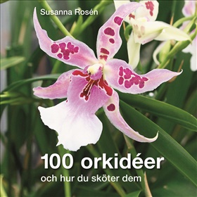 100 orkidéer