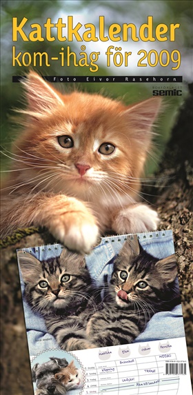 Kattkalender - kom-ihåg för 2009