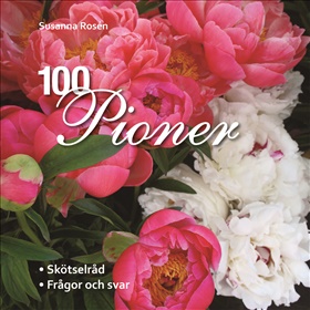 100 pioner