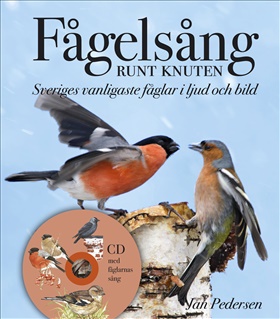 Fågelsång runt knuten - Sveriges vanligaste fåglar i ljud och bild