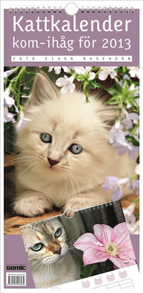 Kattkalender - kom-ihåg för 2013