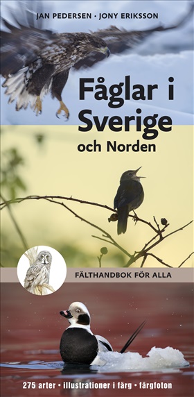 Fåglar i Sverige och Norden - fälthandbok för alla