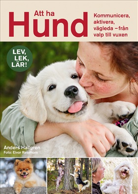 Att ha hund