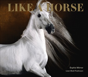 Like A Horse