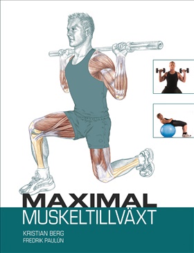 Maximal muskeltillväxt