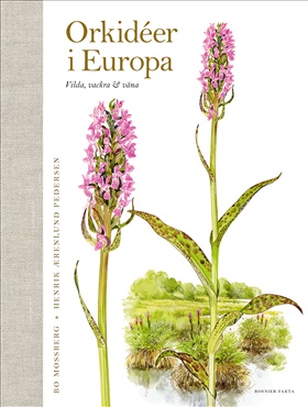 Orkidéer i Europa