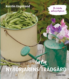 Nybörjarens lata trädgård