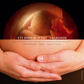 Ett barn blir till - Dagboken