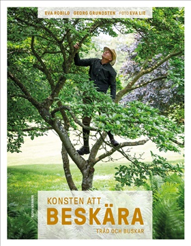 Konsten att beskära