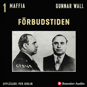 Förbudstiden
