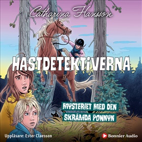 Hästdetektiverna. Mysteriet med den skrämda ponnyn