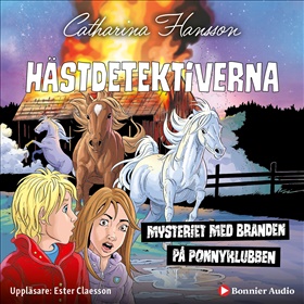 Hästdetektiverna. Mysteriet med branden på ponnyklubben