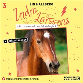 Indra Larssons rätt osannolika hästdagbok