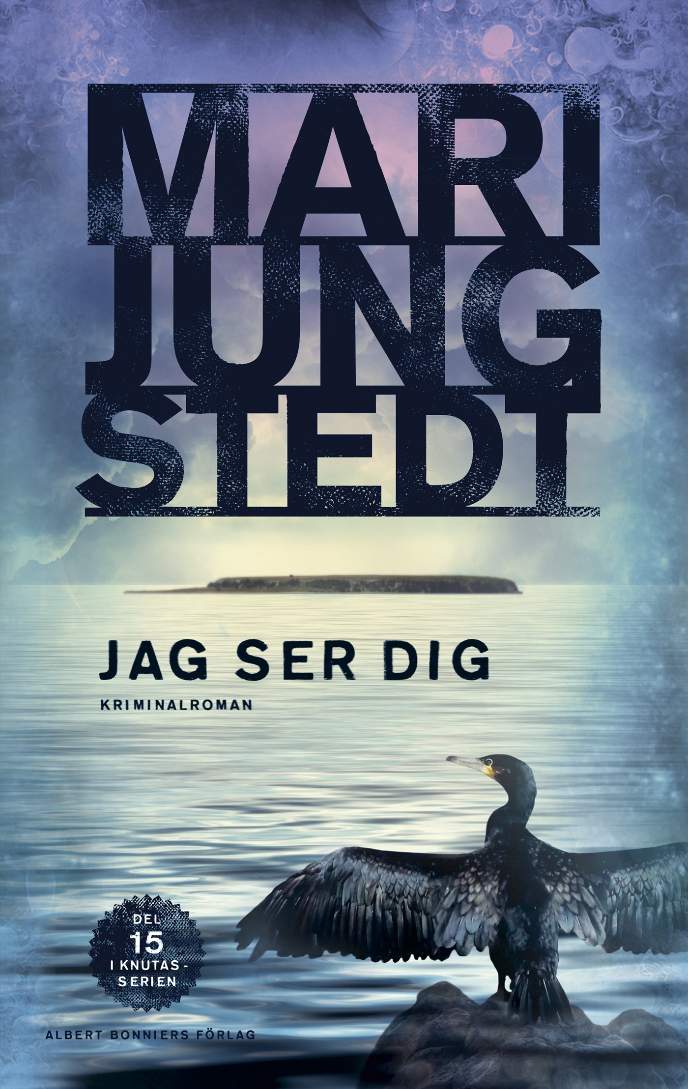 Omslag: Jag ser dig