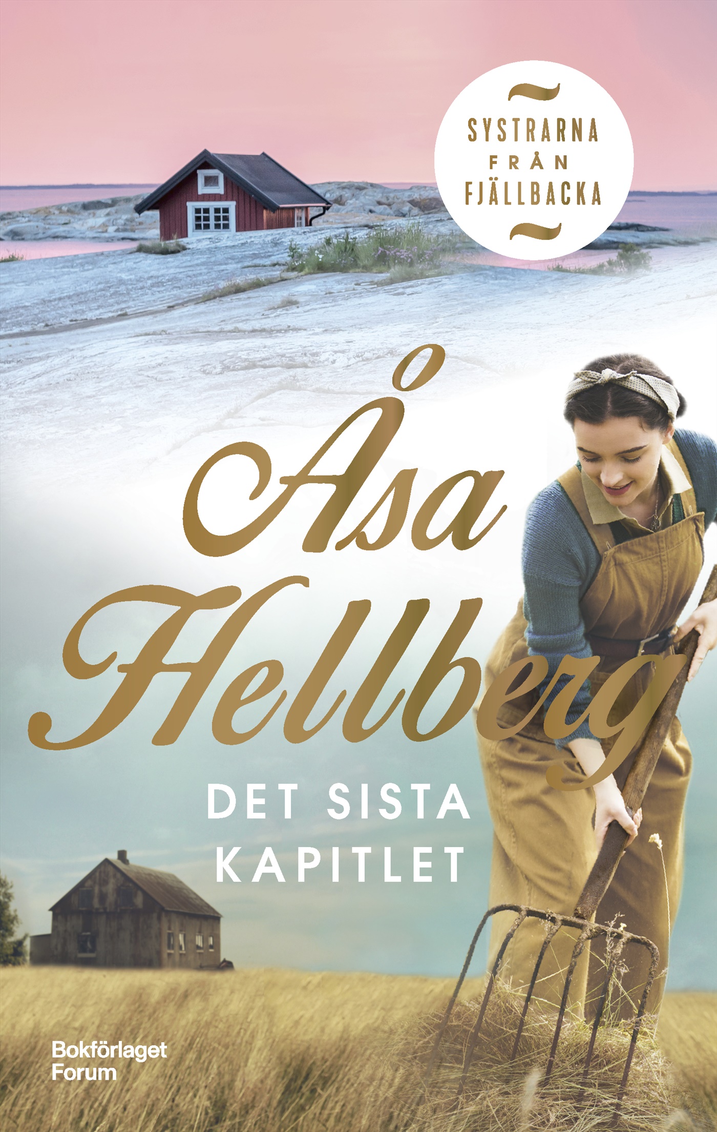 Omslag: Det sista kapitlet