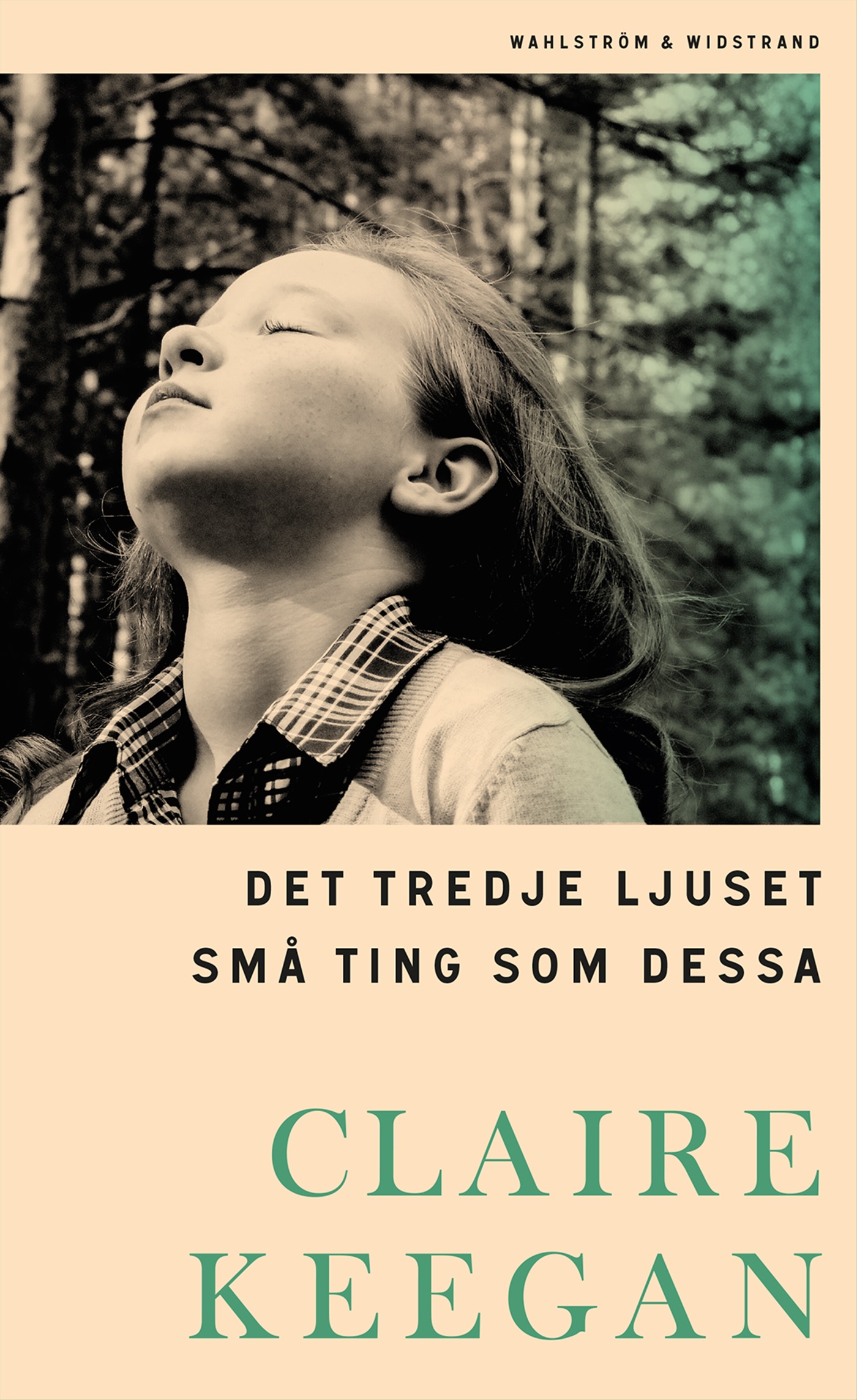 Omslag: Det tredje ljuset ; Små ting som dessa