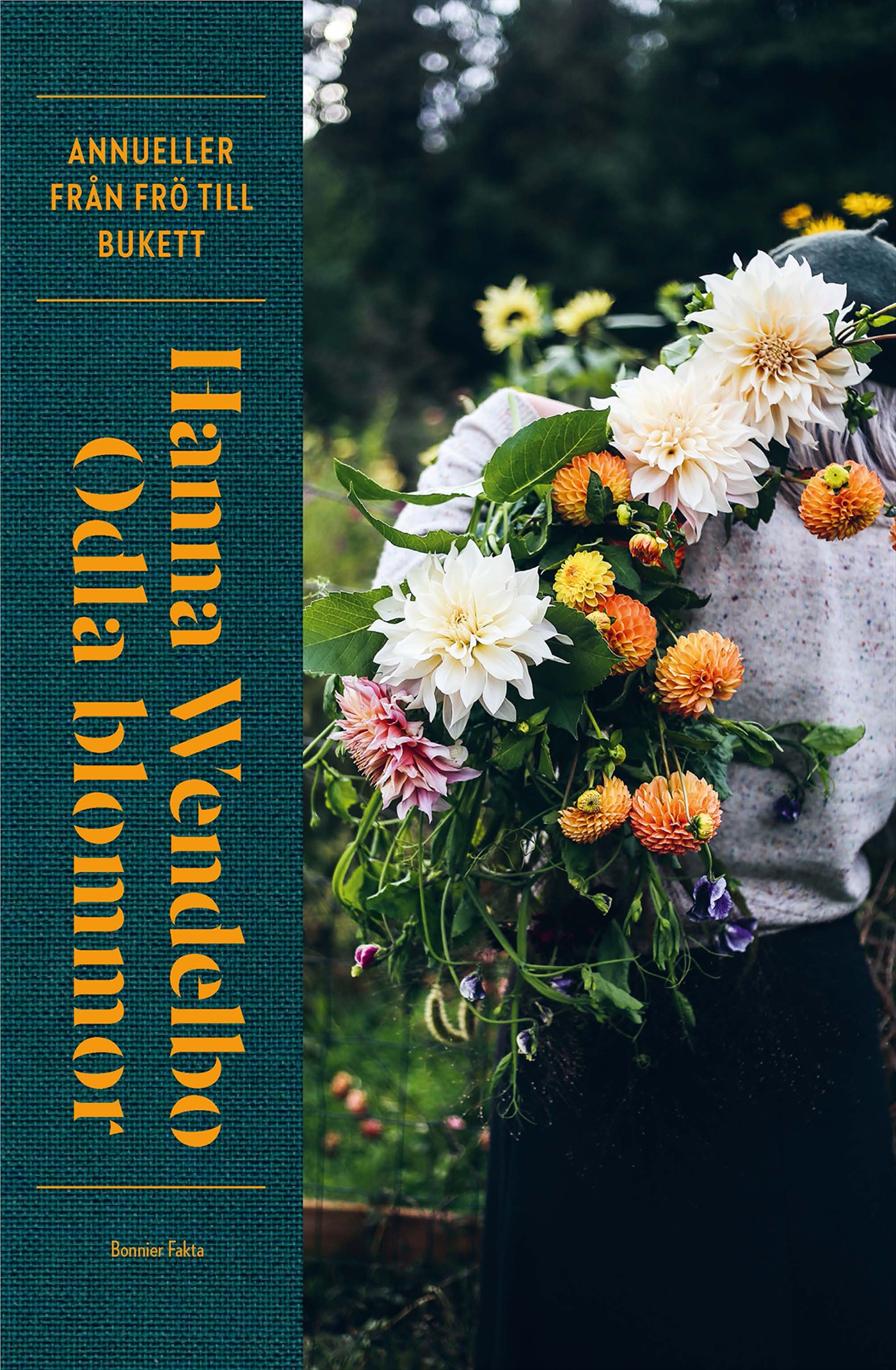 Omslag: Odla blommor : Annueller från frö till bukett