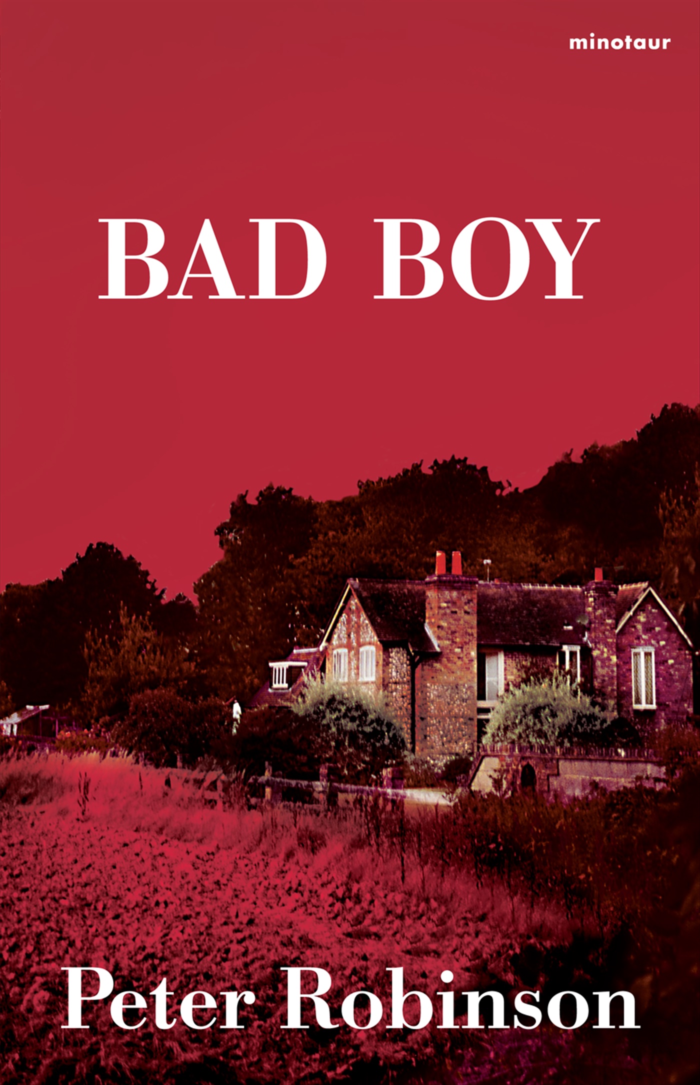 Omslag: Bad boy