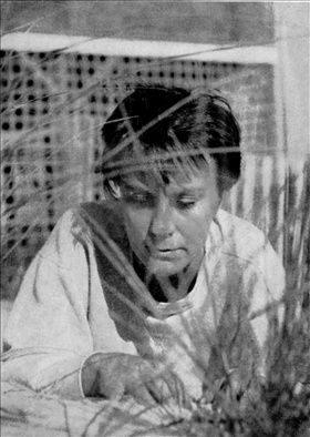 Harper Lee